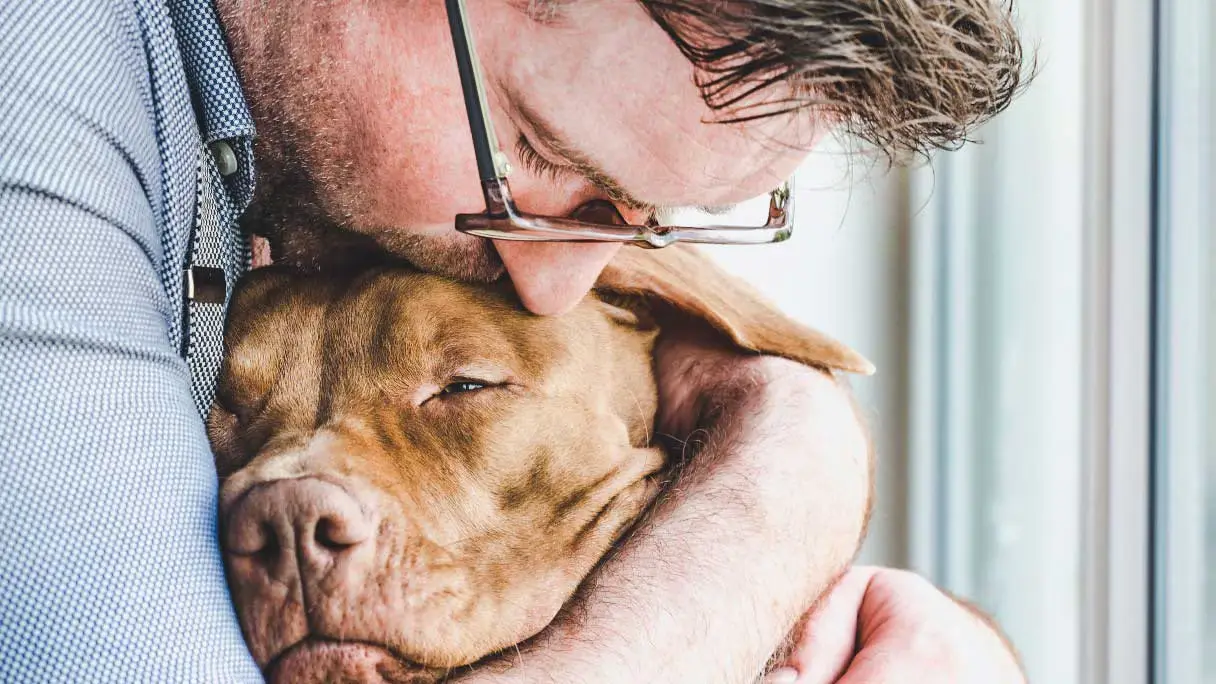 The Role of Engineering in Shaping Affordable Pet Euthanasia Solutions for Pet Owners